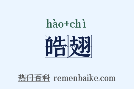 皓翅是什么意思的图片